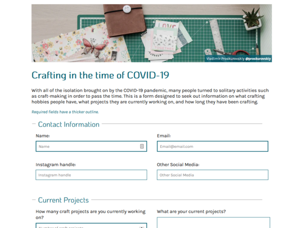 screenshot of the survey form